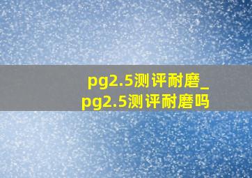 pg2.5测评耐磨_pg2.5测评耐磨吗