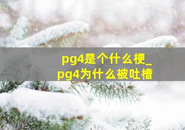 pg4是个什么梗_pg4为什么被吐槽