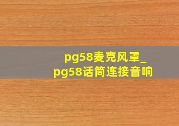 pg58麦克风罩_pg58话筒连接音响