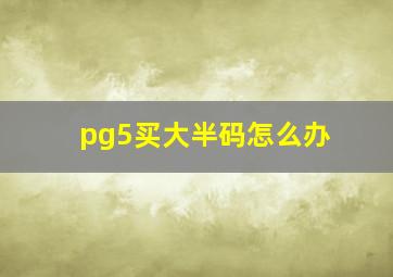 pg5买大半码怎么办