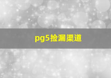 pg5捡漏渠道