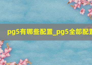 pg5有哪些配置_pg5全部配置