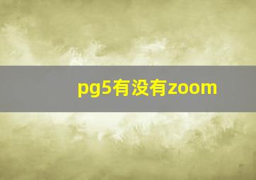 pg5有没有zoom