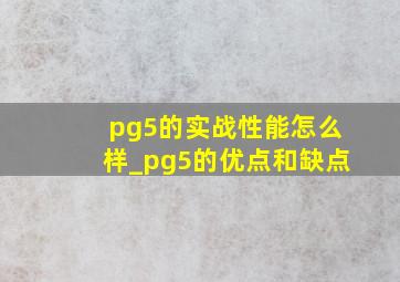 pg5的实战性能怎么样_pg5的优点和缺点