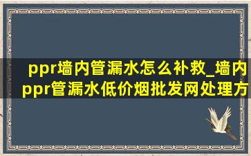 ppr墙内管漏水怎么补救_墙内ppr管漏水(低价烟批发网)处理方法