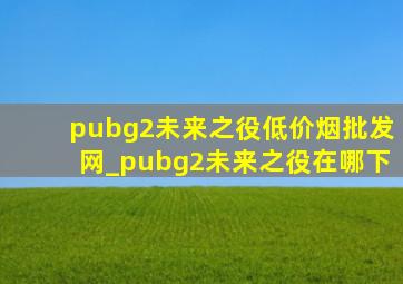 pubg2未来之役(低价烟批发网)_pubg2未来之役在哪下