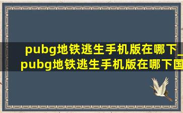 pubg地铁逃生手机版在哪下_pubg地铁逃生手机版在哪下国际服