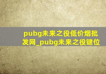 pubg未来之役(低价烟批发网)_pubg未来之役键位