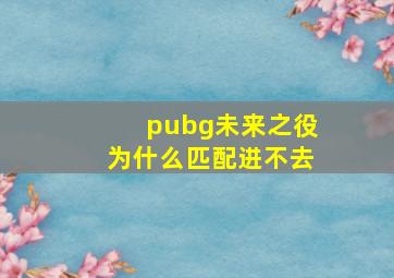 pubg未来之役为什么匹配进不去