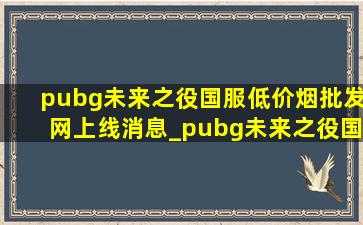 pubg未来之役国服(低价烟批发网)上线消息_pubg未来之役国服