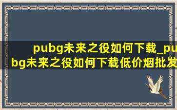 pubg未来之役如何下载_pubg未来之役如何下载(低价烟批发网)版