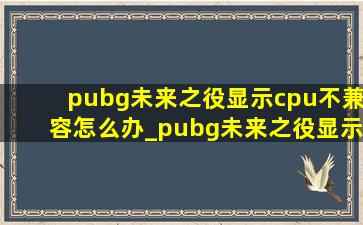 pubg未来之役显示cpu不兼容怎么办_pubg未来之役显示pc不兼容怎么办