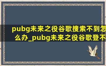 pubg未来之役谷歌搜索不到怎么办_pubg未来之役谷歌登不上