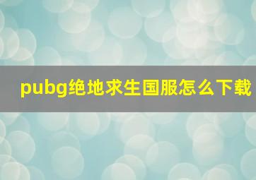 pubg绝地求生国服怎么下载