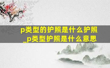 p类型的护照是什么护照_p类型护照是什么意思