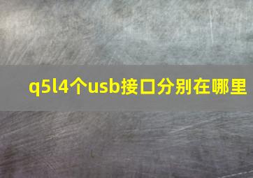 q5l4个usb接口分别在哪里