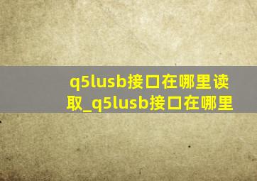 q5lusb接口在哪里读取_q5lusb接口在哪里