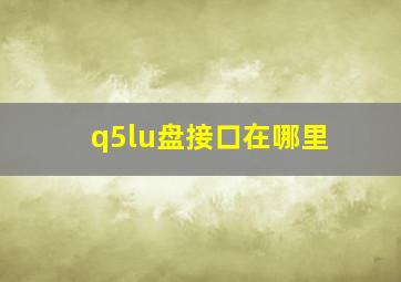 q5lu盘接口在哪里