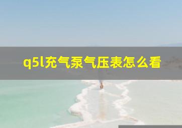 q5l充气泵气压表怎么看