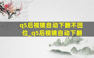 q5后视镜自动下翻不回位_q5后视镜自动下翻