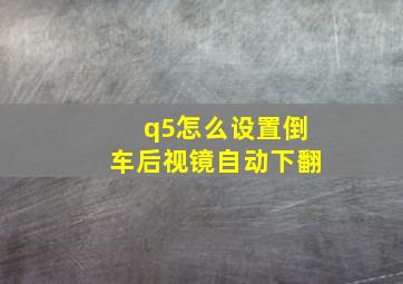 q5怎么设置倒车后视镜自动下翻