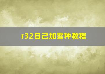 r32自己加雪种教程