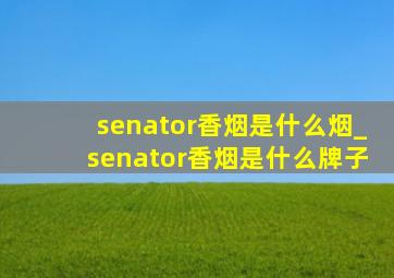 senator香烟是什么烟_senator香烟是什么牌子