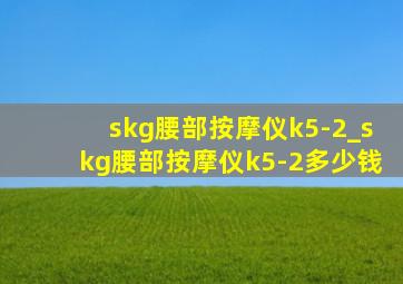 skg腰部按摩仪k5-2_skg腰部按摩仪k5-2多少钱