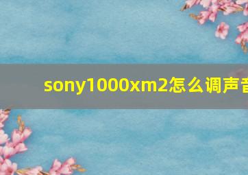 sony1000xm2怎么调声音