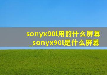 sonyx90l用的什么屏幕_sonyx90l是什么屏幕