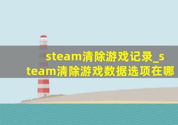 steam清除游戏记录_steam清除游戏数据选项在哪