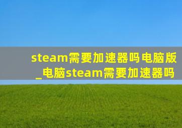 steam需要加速器吗电脑版_电脑steam需要加速器吗