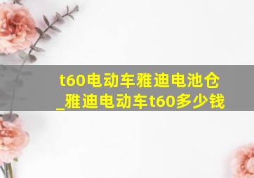 t60电动车雅迪电池仓_雅迪电动车t60多少钱