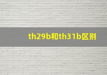 th29b和th31b区别