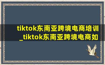 tiktok东南亚跨境电商培训_tiktok东南亚跨境电商如何定价