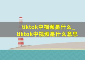 tiktok中视频是什么_tiktok中视频是什么意思