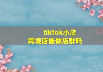 tiktok小店跨境店能做店群吗