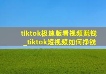 tiktok极速版看视频赚钱_tiktok短视频如何挣钱