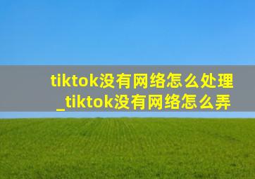 tiktok没有网络怎么处理_tiktok没有网络怎么弄