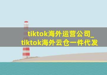 tiktok海外运营公司_tiktok海外云仓一件代发