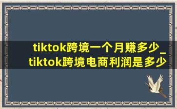 tiktok跨境一个月赚多少_tiktok跨境电商利润是多少