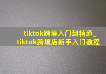 tiktok跨境入门到精通_tiktok跨境店新手入门教程