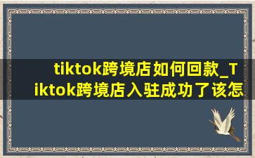 tiktok跨境店如何回款_Tiktok跨境店入驻成功了该怎么做