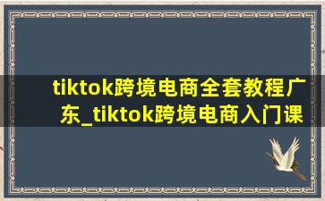 tiktok跨境电商全套教程广东_tiktok跨境电商入门课程