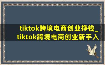 tiktok跨境电商创业挣钱_tiktok跨境电商创业新手入门