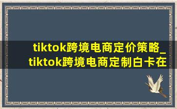 tiktok跨境电商定价策略_tiktok跨境电商定制白卡在哪买