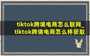 tiktok跨境电商怎么联网_tiktok跨境电商怎么样获取流量