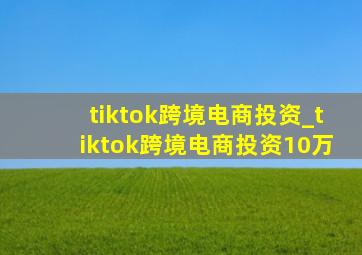 tiktok跨境电商投资_tiktok跨境电商投资10万