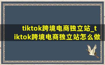 tiktok跨境电商独立站_tiktok跨境电商独立站怎么做