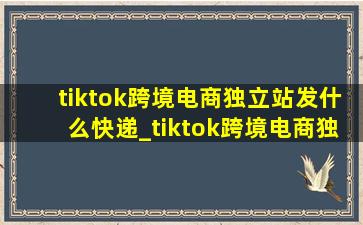 tiktok跨境电商独立站发什么快递_tiktok跨境电商独立站怎么做